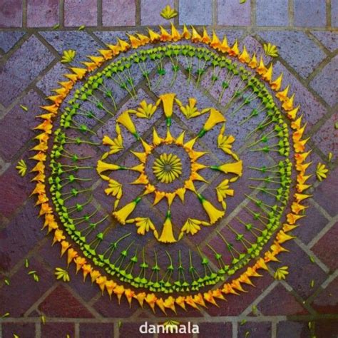 Mandala Made From Nature By Danmala Mandala Art Sanat Mandala