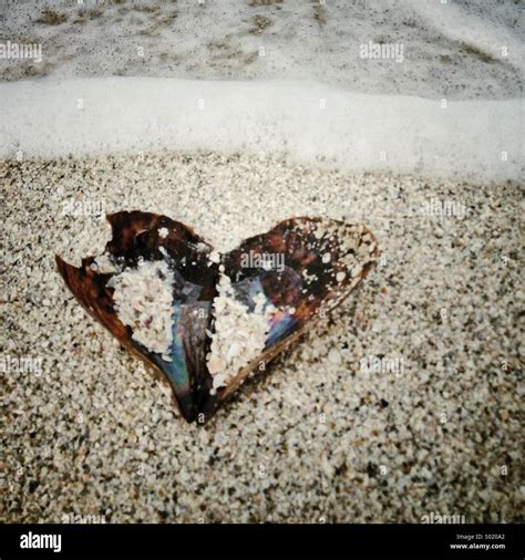 Heart Shaped Shell Beach Hi Res Stock Photography And Images Alamy