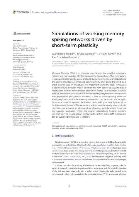 Pdf Simulations Of Working Memory Spiking Networks Driven By Short