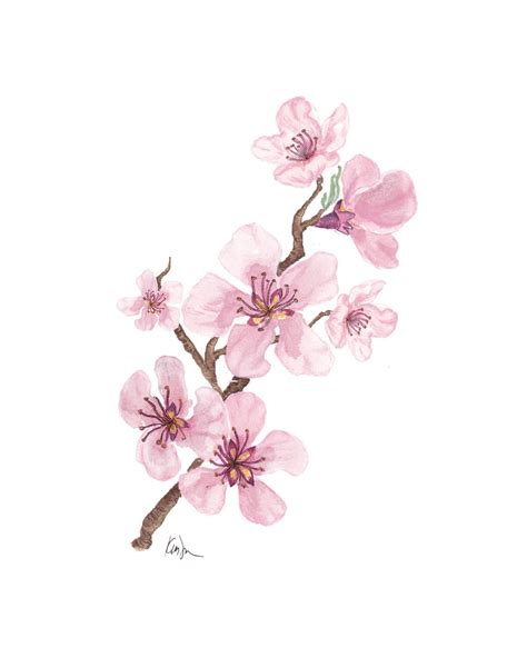Japanese Cherry Blossoms Watercolor Art Diy Watercolor Art Journal