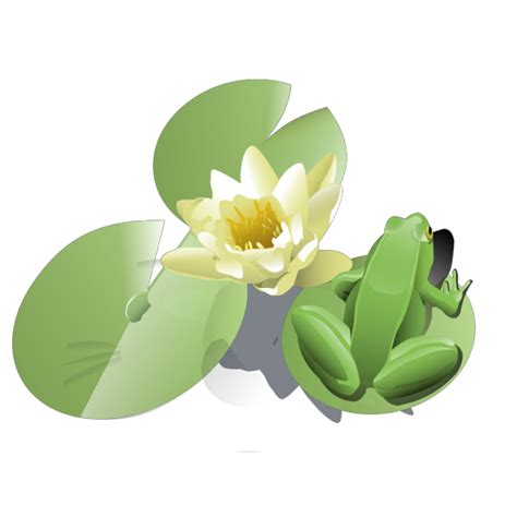 Frog On A Lily Pad Png Svg Clip Art For Web Download Clip Art Png