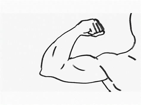 Https://wstravely.com/draw/how To Draw A Arm Flexing