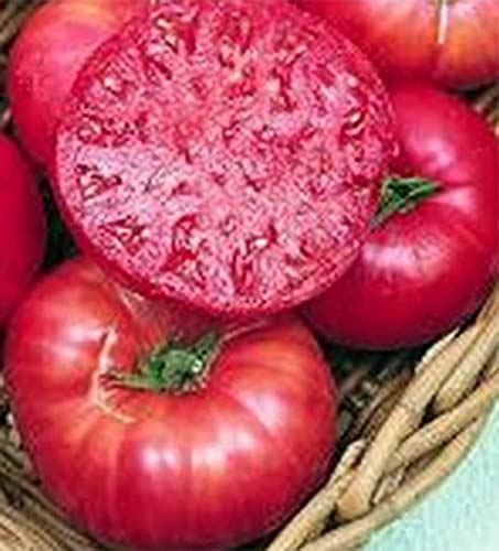 The 10 Best Heirloom Tomato Seeds Recommended By An Expert