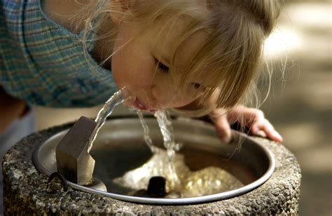 US drinking water widely contaminated with 'forever chemicals': Report