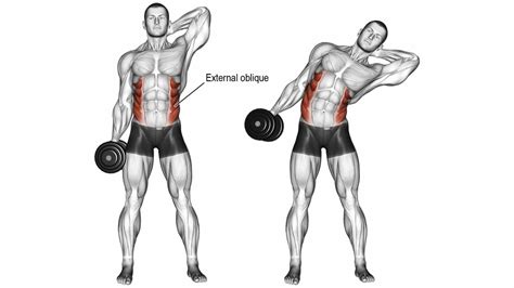 How To Do Dumbbell Side Bend Its Benefits