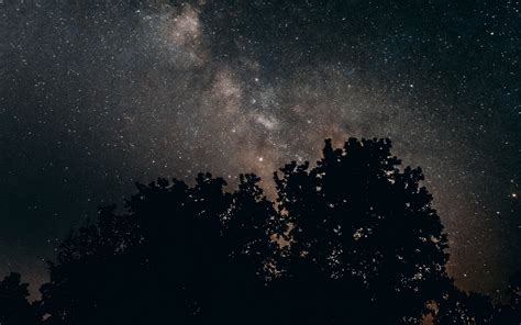 Download Wallpaper 3840x2400 Starry Sky Milky Way Night Trees Stars