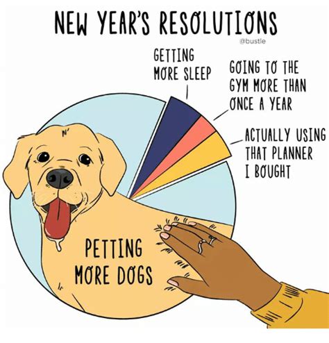 New Years Resolutions Getting More Sleep Going To The Gym More Than Once A Year Actually Using