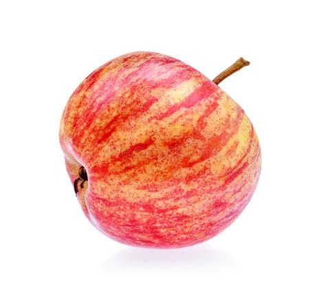 Gala Apples Isolate On White Background Stock Photo Image Of