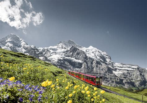 Tren De Montaña Jungfraujoch En Interlaken Swiss Trains