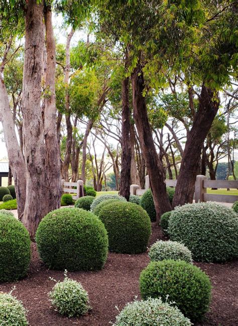 A Manicured Garden On Victorias Mornington Peninsula Australian