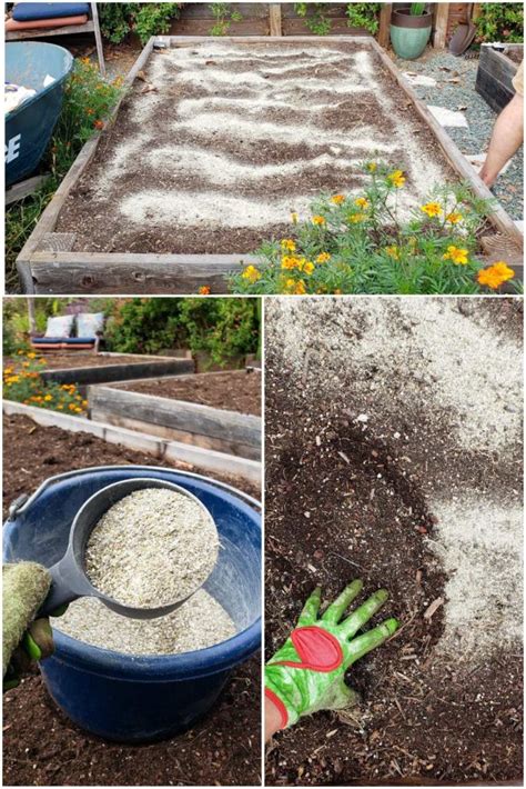 How To Amend And Fertilize Garden Bed Soil Between Seasons ~ Homestead