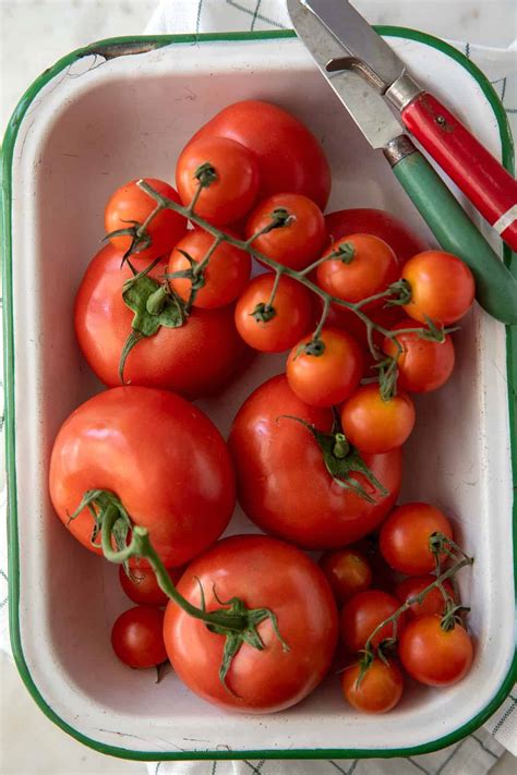 How To Store Tomatoes The Harvest Kitchen