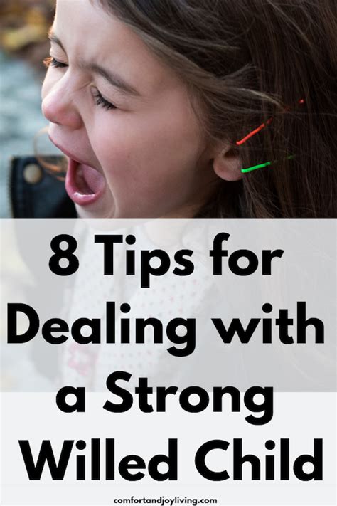 8 Tips For Dealing With A Strong Willed Child