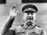 Terror and killing and more killing under Stalin leading up to World ...