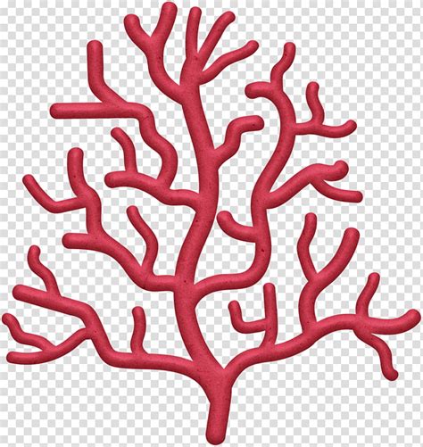 Coral Reef Drawing Sea Silhouette Stencil Tree Plant Transparent