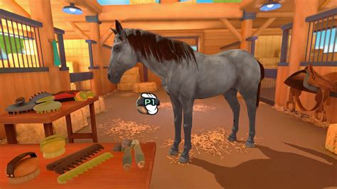 Equestrian Training For Pc