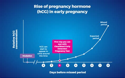 Normal Hcg Levels In Early Pregnancy 60 Off