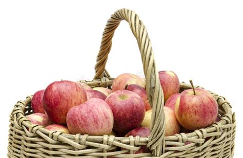 Apples In A Basket Stock Photo Image Of Ripe Food Harvest 78732980