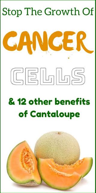 Impressive Health Benefits Of Cantaloupe Healthy Clear