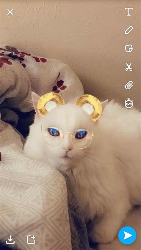 I Finally Achieved The Dream Of Getting A Snapchat Filter To Work On My