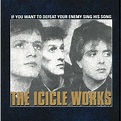 If You Want To Defeat Your Enemy Sing His Song by The Icicle Works on ...