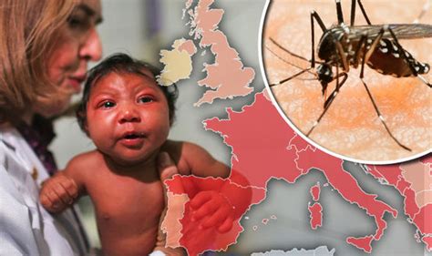 Zika Virus To Spread Through Europe This Summer World News
