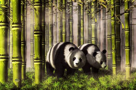 Pandas In A Bamboo Forest Digital Art By Daniel Eskridge Pixels