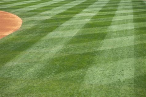 Baseball Field Grass Designs Stock Photos Pictures And Royalty Free