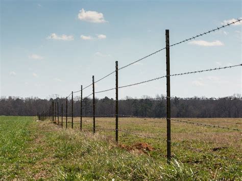 Cattle Fencing Austin And Central Texas Farm And Ranch Fencing Company