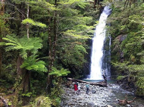 Walking The Hollyford Track New Zealand Trails