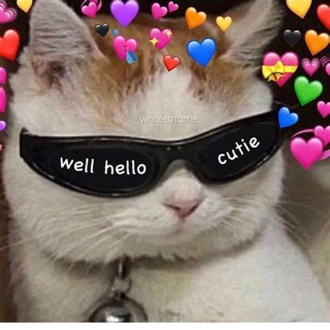 Wholesome Meme Cat Sunglasses Love Cute Cat Cute