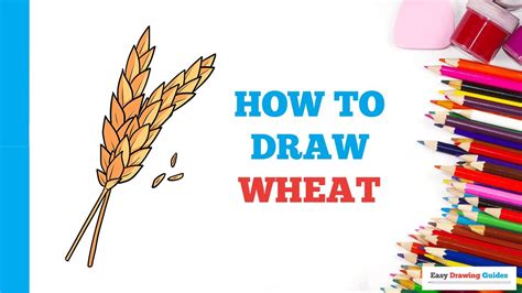 How To Draw Wheat In A Few Easy Steps Drawing Tutorial For Beginner