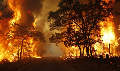 Natural disasters can cause great damage on the environment, property, wildlife and human health. The Year that Shook the Rich: A Review of Natural ...