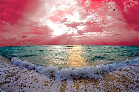 Isack Kousnsky Haifa Sunset 48x80 Scenery Beach Pretty Pictures