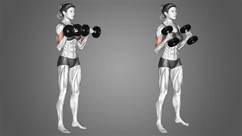 Reverse Curls Vs Hammer Curls Which Is Best For The Biceps Inspire Us