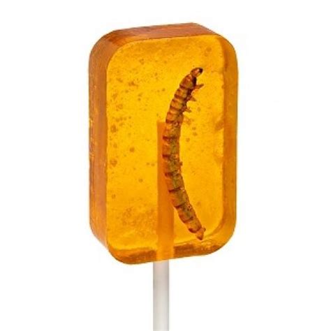 Worm Sucker In Orange Edible Insects