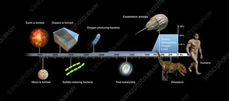 Evolution Of Earth Timeline Illustration Stock Image C0266373