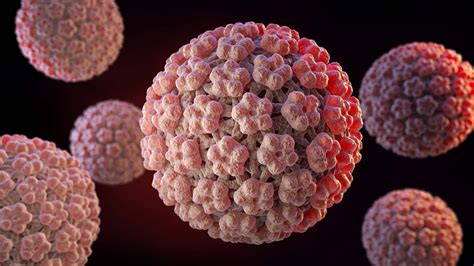 Nci Cancer Centers Endorse Hpv And Covid 19 Vaccinations Cold Spring