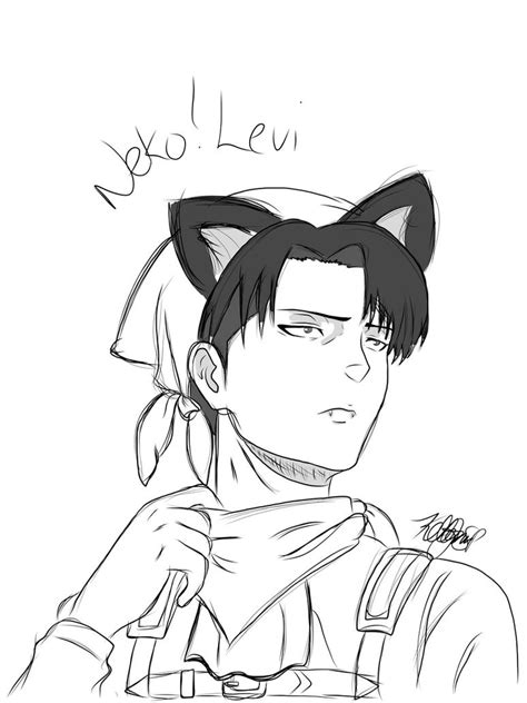 Nekolevi Ackerman Shingeki No Kyojin By Aphfemportugal On Deviantart