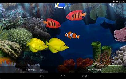 Wallpapers Desktop Fish Android Wallpapersafari