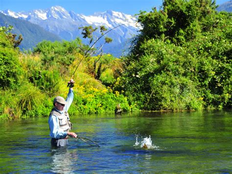 Fly Fishing For Large Trout Best Of New Zealand Fly Fishing