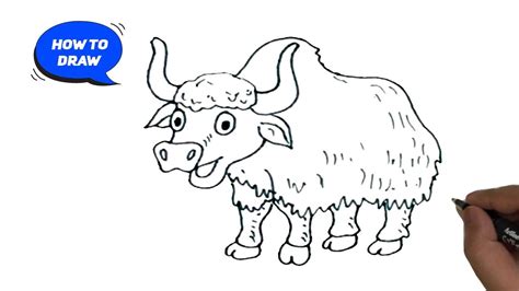 How To Draw A Cartoon Yak Easy Cartoon Yak Line Drawing Youtube