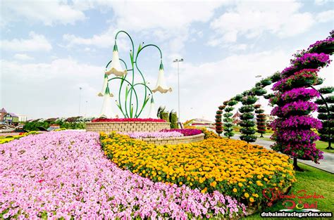 Dubai Miracle Garden The Worlds Biggest Natural Flower Garden With