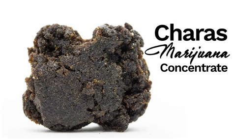 Charas Cannabis Concentrate: What You Need To Know