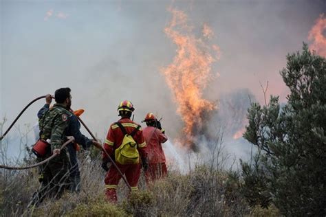 greece forest fires at least 50 dead as apocalyptic inferno ravages countryside near athens