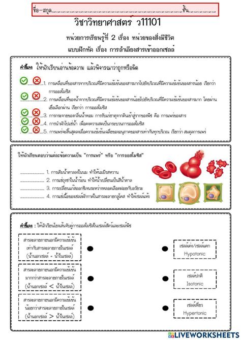 ใบงาน การลำเลียงสารเข้าและออกจากเซลล์ Worksheet Live Worksheets