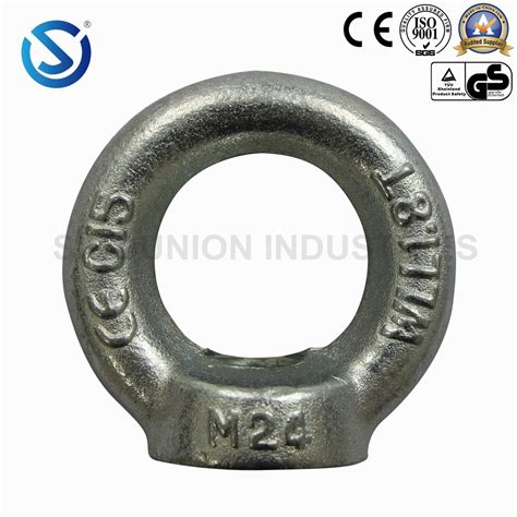 Electric Galvanized Forged DIN582 Lifting Eye Nut China Rigging And