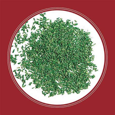 Pennington Smart Seed Perennial Ryegrass Grass Seed For Full Sun 3 Lb