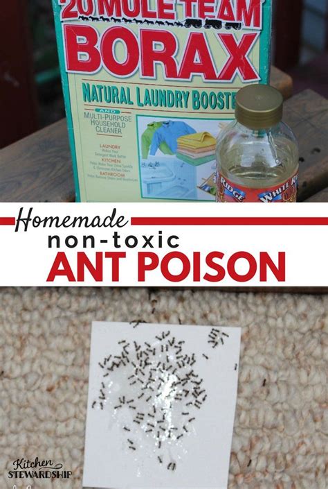 Making a homemade pitching machine from treadmill moter. How to Make Homemade Non-Toxic Ant Poison | Sugar ants, Ant repellent, Insect spray