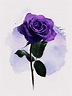 電繪 水彩紫玫瑰 - a774599的創作 - 巴哈姆特